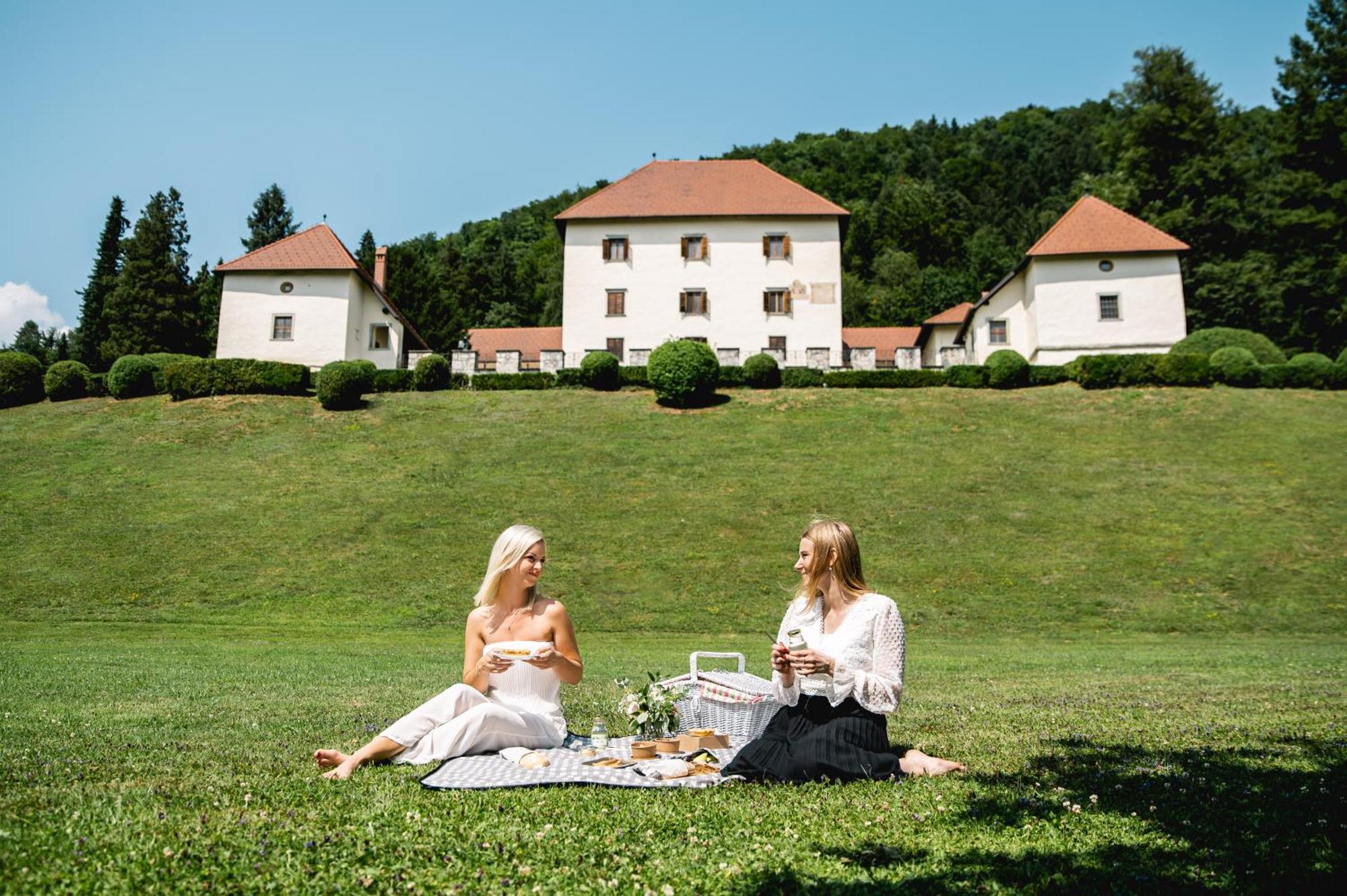 Grad Strmol Villa Cerklje na Gorenjskem Exterior photo